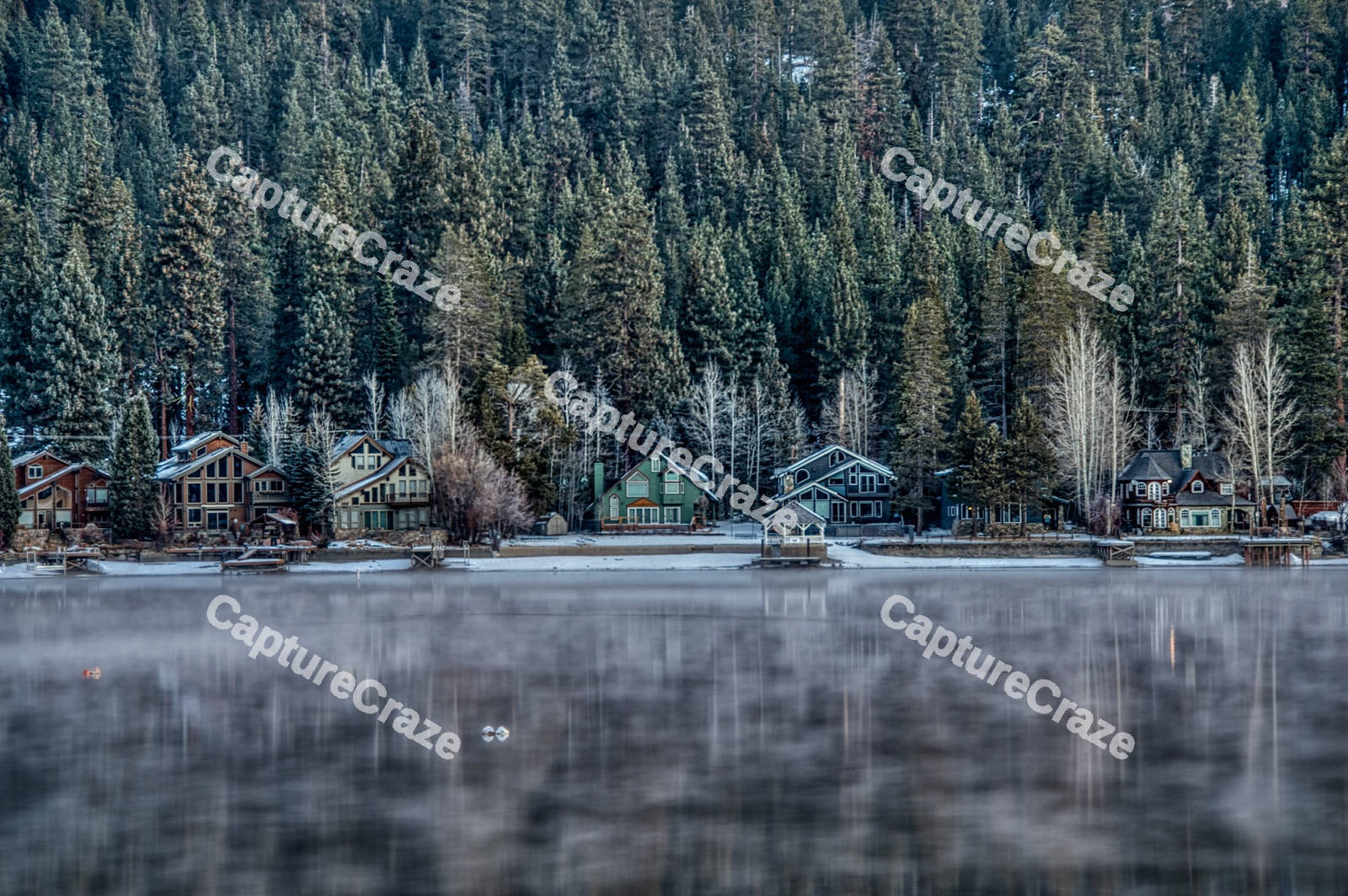 A lake view with houses and trees